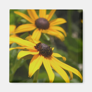 Black Mit Augen Susans Magnet