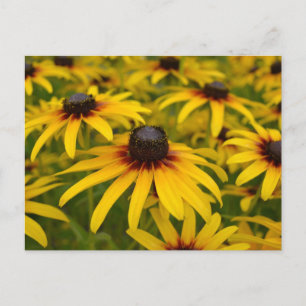 Black Mit Augen Susans Perspective Post Card Postkarte