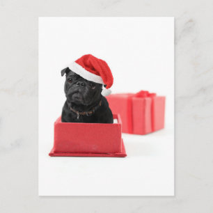 Black Mops Hunde Geschenk Postkarte