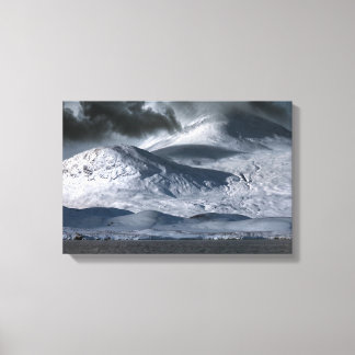 Black Mount Deer Rannoch Moor  Leinwanddruck