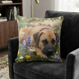 Black Mouth Cur Hund Kissen