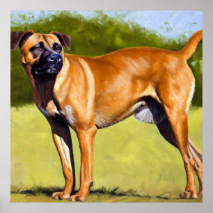 Black Mouth Cur Hund Poster