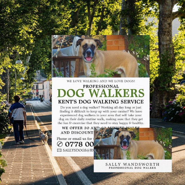 Black Mouth Cur, Hunde Walker Service Werbung Flyer (Von Creator hochgeladen)