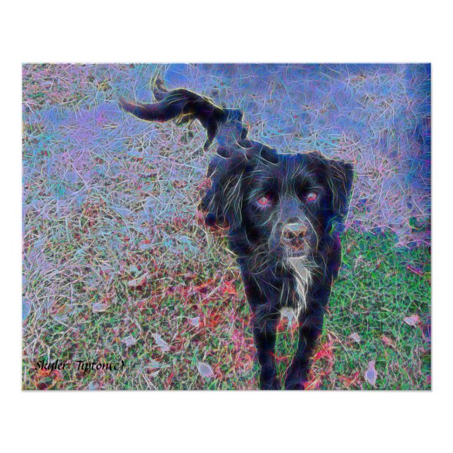 Black Mutt Digital Portrait Poster (Vorderseite)