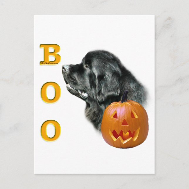 Black Newfundland Boo Postkarte (Vorderseite)