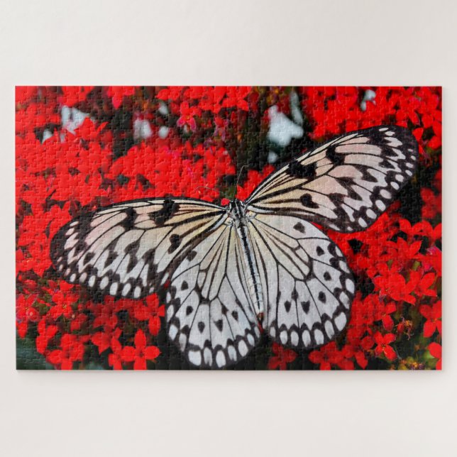Black Nymph Butterfly . Puzzle (Horizontal)