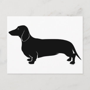 Black on White Dachsund Postkarte