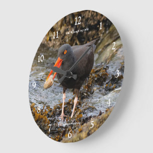 Black Oystercatcher Shorebird Fischen am Strand Große Wanduhr