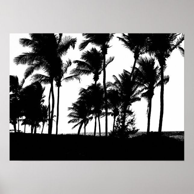 Black Palms Print Poster (Vorne)