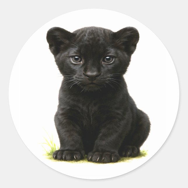 Black Panther Cube mit Big Eyes Runder Aufkleber (Vorderseite)
