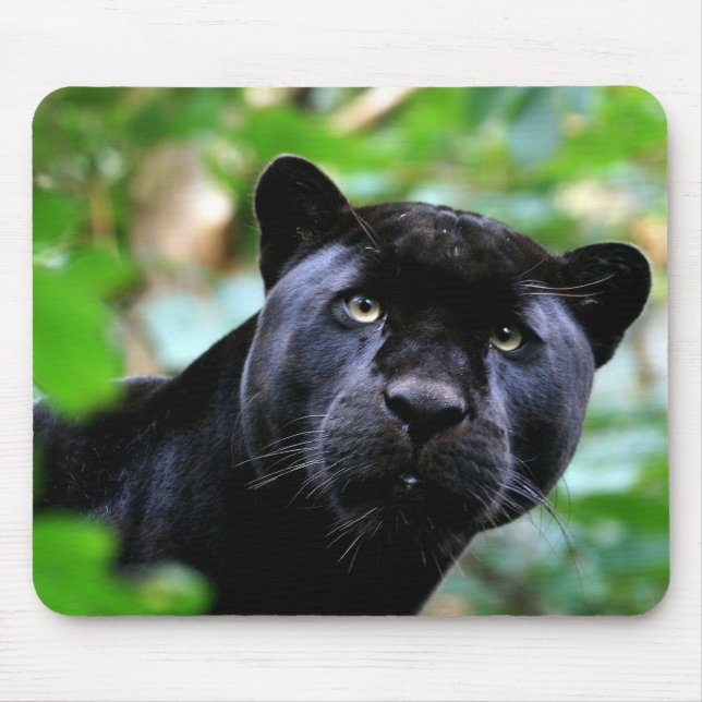 Black Panther Macro Mousepad (Vorne)