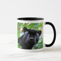 Black Panther Macro