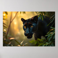 Black Panther Wild Jungle Leopard Big Cat