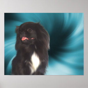 Black Pekingese Blue Wirbel Dog Art Poster