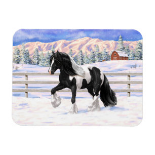 Black Pinto Piebald Sinti und Roma Vanner Entwurf  Magnet