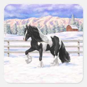 Black Pinto Piebald Sinti und Roma Vanner Entwurf  Quadratischer Aufkleber