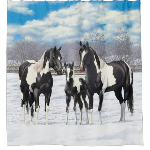 Black Pinto Quarter Pferde Paint Pferde im Schnee Duschvorhang