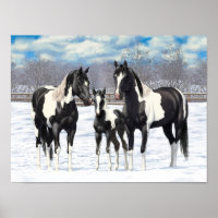 Black Pinto Quarter Pferde Paint Pferde im Schnee