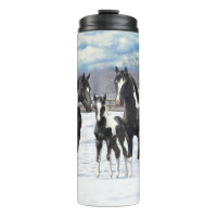 Black Pinto Quarter Pferde Paint Pferde im Schnee
