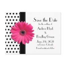 Black Polka Dots Pink Daisy Wedding Save the Date