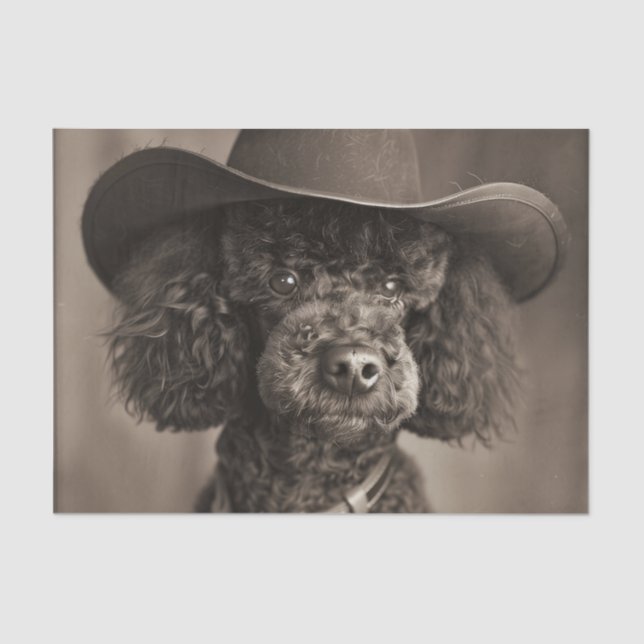 Black Poodle als Cowboy Halloween-Kostüm verkleide Seidenpapier (Vorderseite)