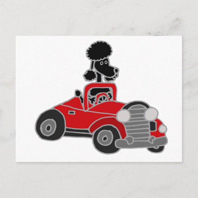Black Poodle Driving Red Convertible Car Postkarte (Vorderseite)