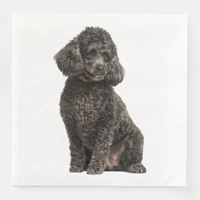 Black Poodle Puppy Wedding Party Geburtstag Serviette (Vorderseite)