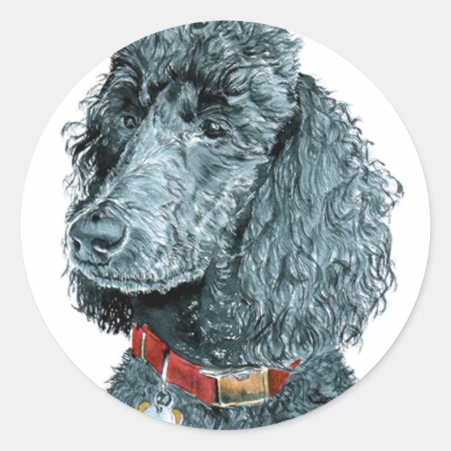 Black Poodle Whitney Stickers (Vorderseite)