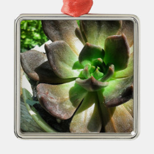 Black Prince #succulent Ornament Aus Metall