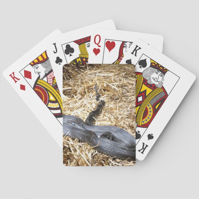 Black Racer Schlange Spielkarten (Rückseite)