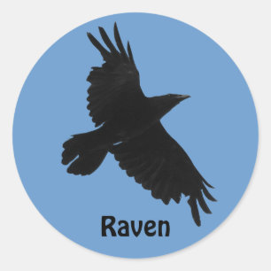 Black Raven Birdlover's Wildlife Sticker