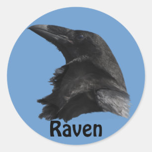 Black Raven Birdlover's Wildlife Sticker