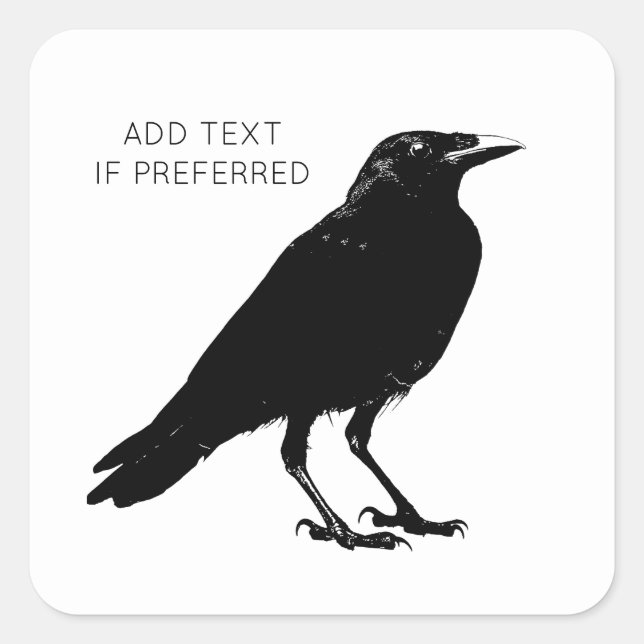 Black Raven Corvid Bird Stickers (Vorderseite)