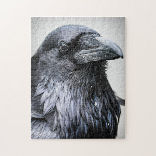 Black Raven Crow Bird Puzzle