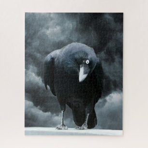 Black Raven Puzzle