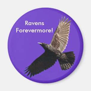 Black Raven Series Magnet
