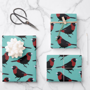Black Red Crimson Collared Tanager Bird Songbird Geschenkpapier Set