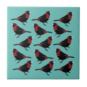 Black Red Crimson Collared Tanager Songbird Fliese