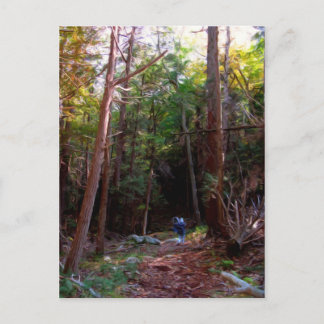 Black Rock Trails, Harriman Staat Park, New York Postkarte