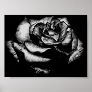 Black Rose Poster