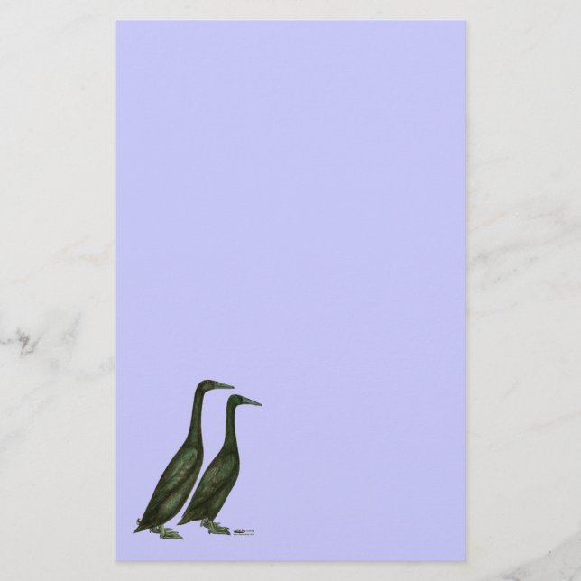 Black Runner Ducks Briefpapier (Vorderseite)