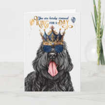 Black Russian Terrier King für einen Geburtstag