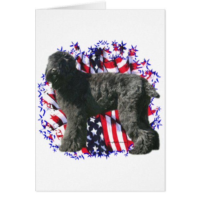 Black Russian Terrier Patriot (Vorne)