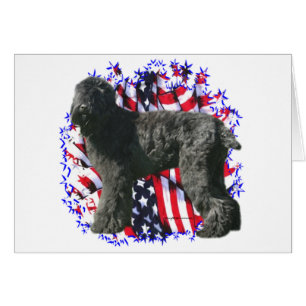 Black Russian Terrier Patriot