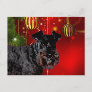 Black Schnauzer Weihnachten