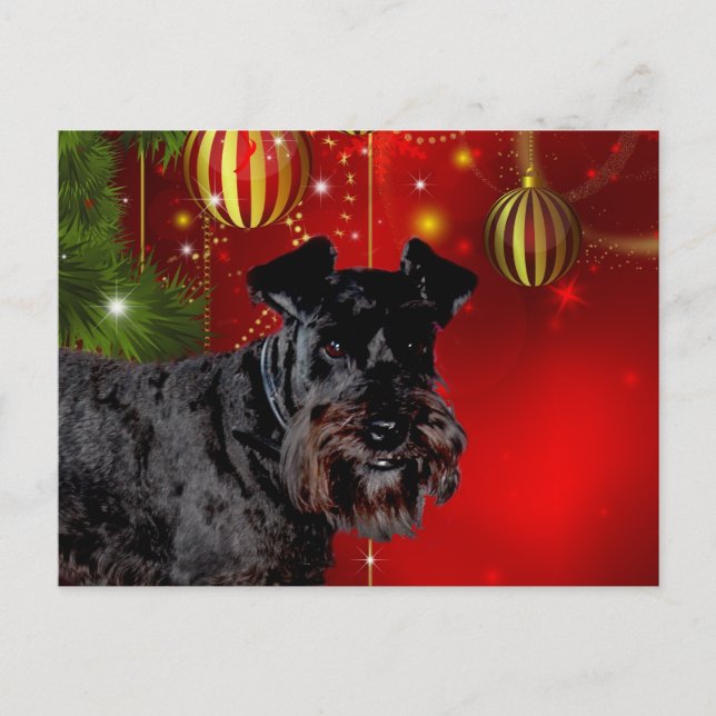 Black Schnauzer Weihnachten (Vorderseite)