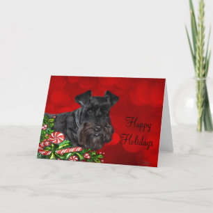 Black Schnauzer Weihnachten