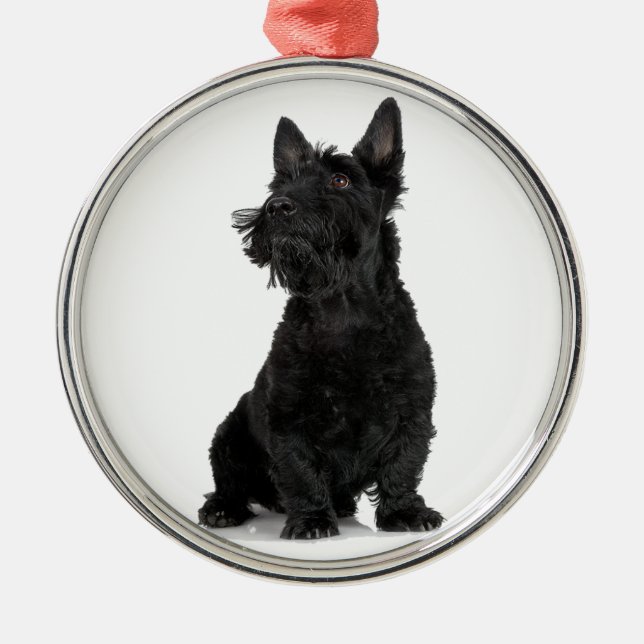 Black Scottish Terrier Ornament Aus Metall (Vorne)