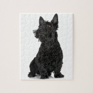 Black Scottish Terrier Puzzle