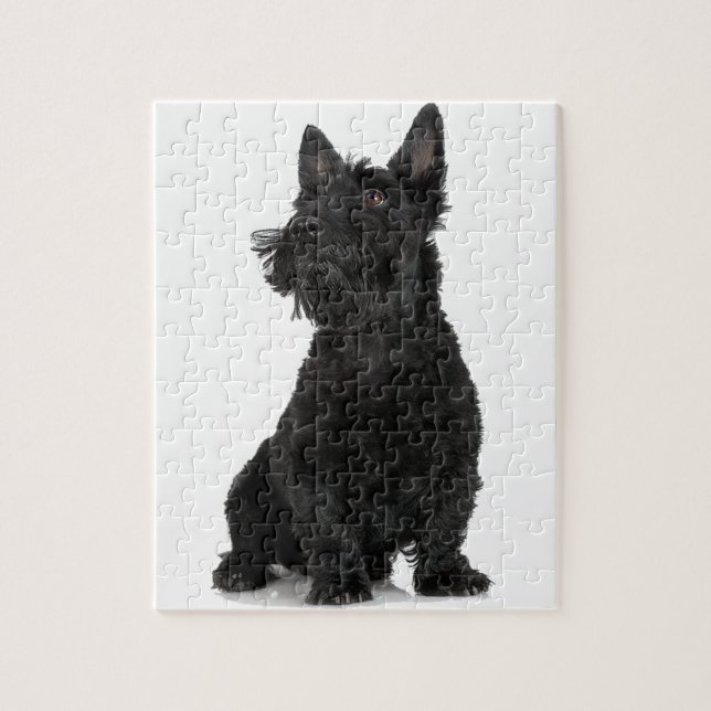 Black Scottish Terrier Puzzle (Vertikal)
